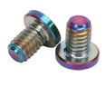 thumbnail image 1 of Tornillos de Freno de Bicicleta 2 Piezas Tornillos de Freno de Bicicleta Tornillos Fijos de Freno de Bicicleta de Montaña de Rosca Precisa para UT6800DA9000DA9010FORCE ANGGREK Otros, 1 of 8