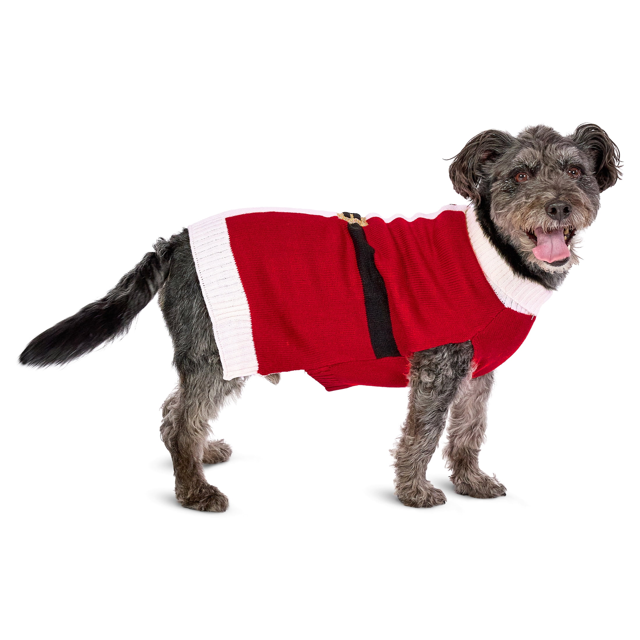 Vibrant Life Holiday Pet Sweater for Dogs, Santa, Red, Medium