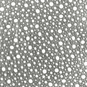 Home Details Set of Four Round Moon Laser Cut Table Place Mat, Silver