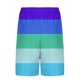 thumbnail image 4 of Pantalones Cortos Casuales para Hombre Imprimir con Bolsillos Pantalones de Playa de Cintura Elástica, Pantalones Cortos de Cintura Elástica para Hombre, 4 of 6