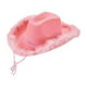 thumbnail image 1 of Sombrero de vaquero decorativo, accesorio de disfraz, sombrero de vaquera con plumas para festival, juego de rol Rosa, 1 of 9