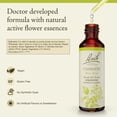thumbnail image 2 of Esencia floral original de Bach, remedios florales para clemátides, 20 ml, 2 of 6