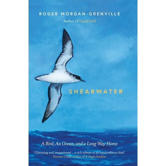Shearwater: A Bird, an Ocean, and a Long Way Home, (Hardcover)