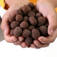 thumbnail image 6 of Opvise Premium Natural Clay Pebbles for Hydroponics, Orchids & Soil Aeration - Lightweight pH-Neutral LECA Balls (12-14mm, 3.3lbs) | Enhanced Moisture Retention, Drainage & Root Health Brown, 6 of 7