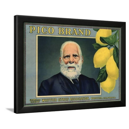 - Pico Brand - Whittier, California - Citrus Crate Label Framed Print Wall Art By Lantern Press