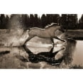 thumbnail image 3 of Dawson, Robert 18x13 Black Modern Framed Museum Art Print Titled - Running Water III, 3 of 5