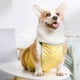 thumbnail image 5 of Chaleco Impermeable para el vientre del Perro, Cálido, Cómodo, Fino y Ligero, Para Prevenencia del Frío, Protector de Pecho para Perro Corgi, Cachoro de Pierna Corta, 5 of 7