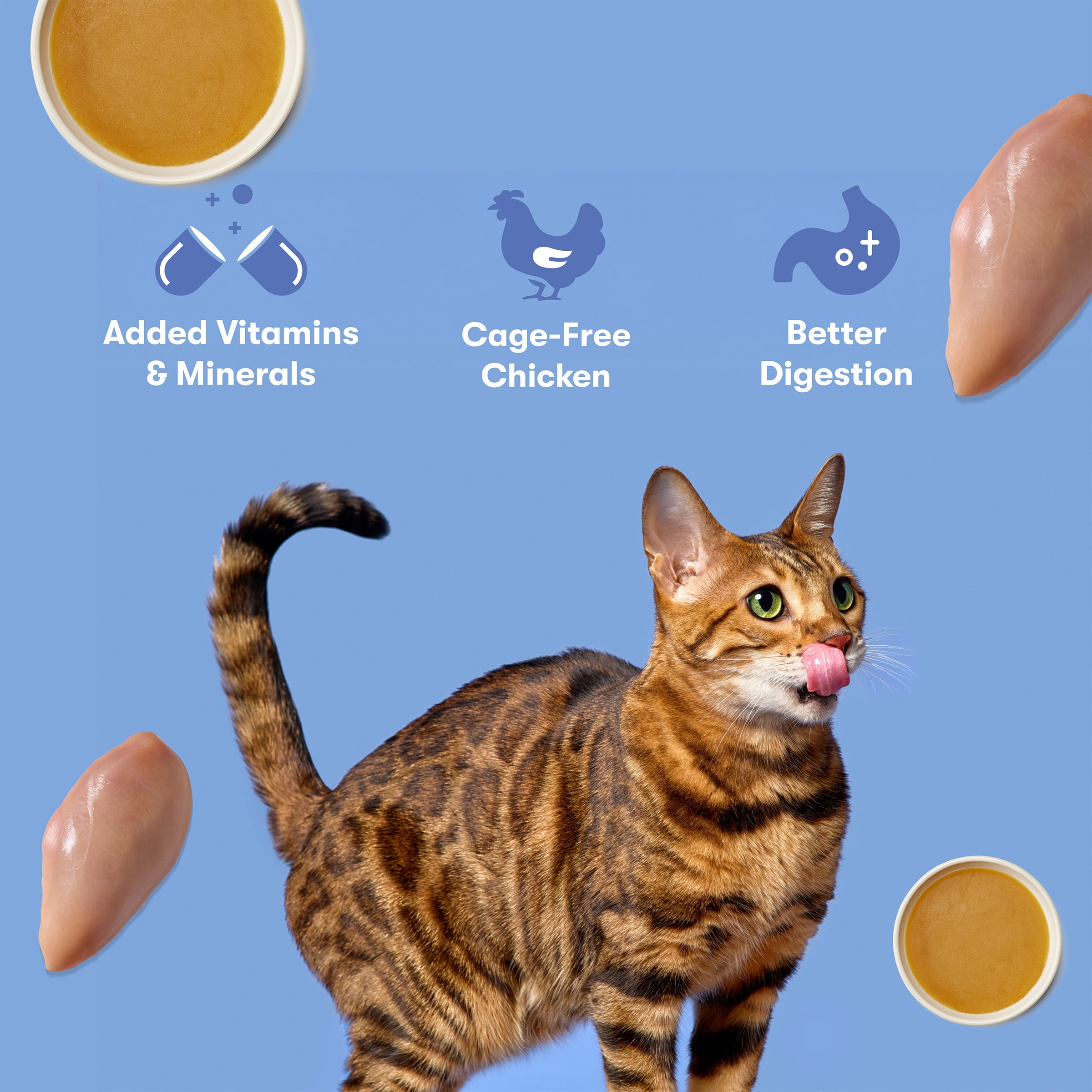 (24 pack) Jinx Cage-Free Chicken Shreds in Bone Broth Wet Cat Food, 4.05 oz
