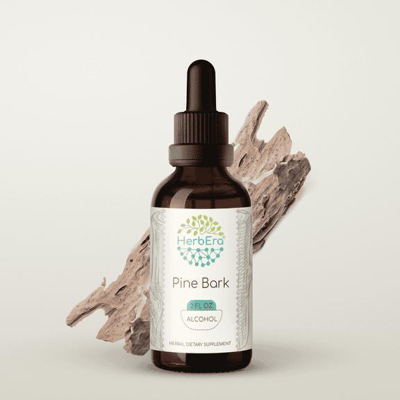 HerbEra Pine Bark Tincture, Herbal Dietary Supplement for Antioxidant Support, Pine Bark (Pinus strobus) Dried Bark Extract, Natural, Alcohol Tincture, Drops 2 oz
