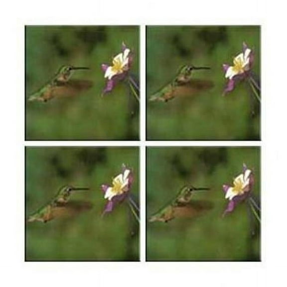 McGowan  Tuftop Hummingbird and Columbine Coasters Set of 4