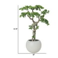 thumbnail image 4 of 51.75'' Artificial Pine tree in a White fishbowl planter perfect for indoor and outdoor use, 4 of 7