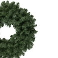 thumbnail image 4 of Northlight Colorado Spruce Artificial Christmas Wreath - 24" - Unlit, 4 of 4