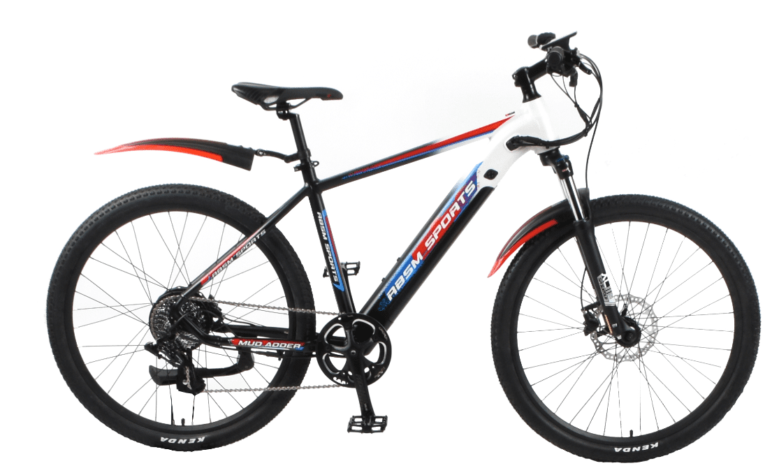 RBSM SPORTS 500W 48V Mud Adder Adult Electric Bike Walmart Canada