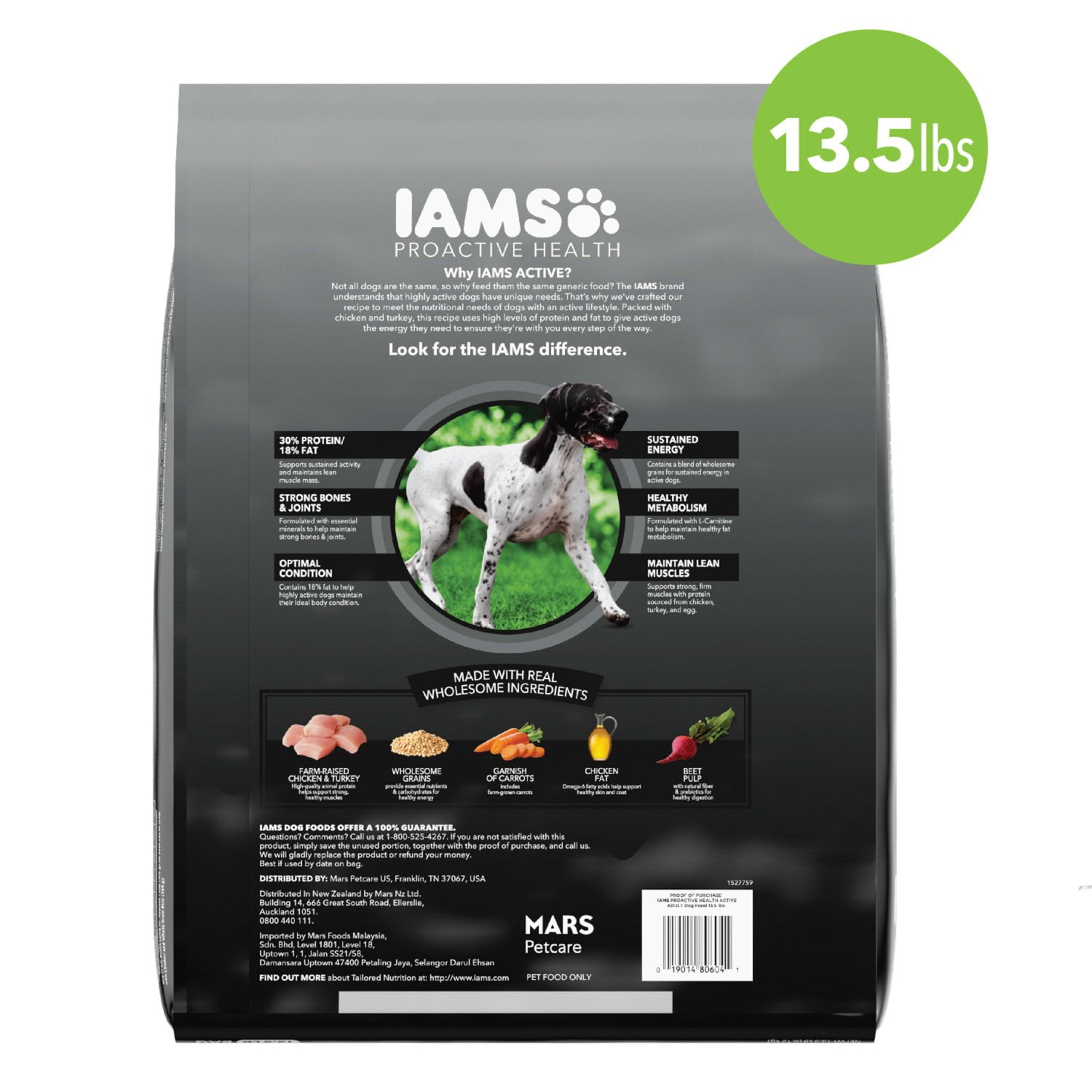 Iams dog hotsell food proactive health