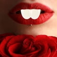 thumbnail image 3 of 4 piezas de dientes de conejo a granel, recuerdo de fiesta de Pascua, disfraz de cosplay, accesorio de foto, dientes falsos de conejo, recuerdo de diente de conejo, accesorios para disfraz de conejo, 3 of 5