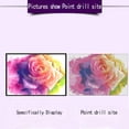 thumbnail image 4 of segolike DIY 5D Painting Diamond Embroidery Rhinestone Rhinestone Kit Painting Diamond 5D 40x30cm Flower, 4 of 9