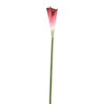 thumbnail image 1 of Distinctive Designs DW-873-WN DIY Fleur Grande Calla de Vin Lys - Pack de 6, 1 of 1