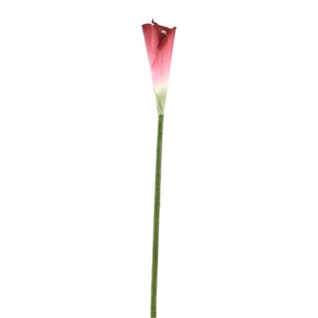 Distinctive Designs DW-873-WN DIY Fleur Grande Calla de Vin Lys - Pack de 6