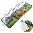 thumbnail image 2 of Dreamtimes Highland Cattle Pasture Hallway Runner Rug 2'x6' Kitchen Rug with Rubber Backing Grassland Animal Non Slip Entryway Rug Runner Washable Soft Area Rug for Hallway Bedroom Kitchen Decor, 2 of 6