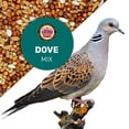 thumbnail image 3 of Dove Mix 5 Lbs, Dove Food, Premium Dove Bird Seed, Nut Free Mix Feed for Dove, Nutrient-Rich Mixed Birdseeds, Supports Daily Energy Growth & Healthy Balanced Diet, Bird Seed for Outside Feeders, 3 of 5