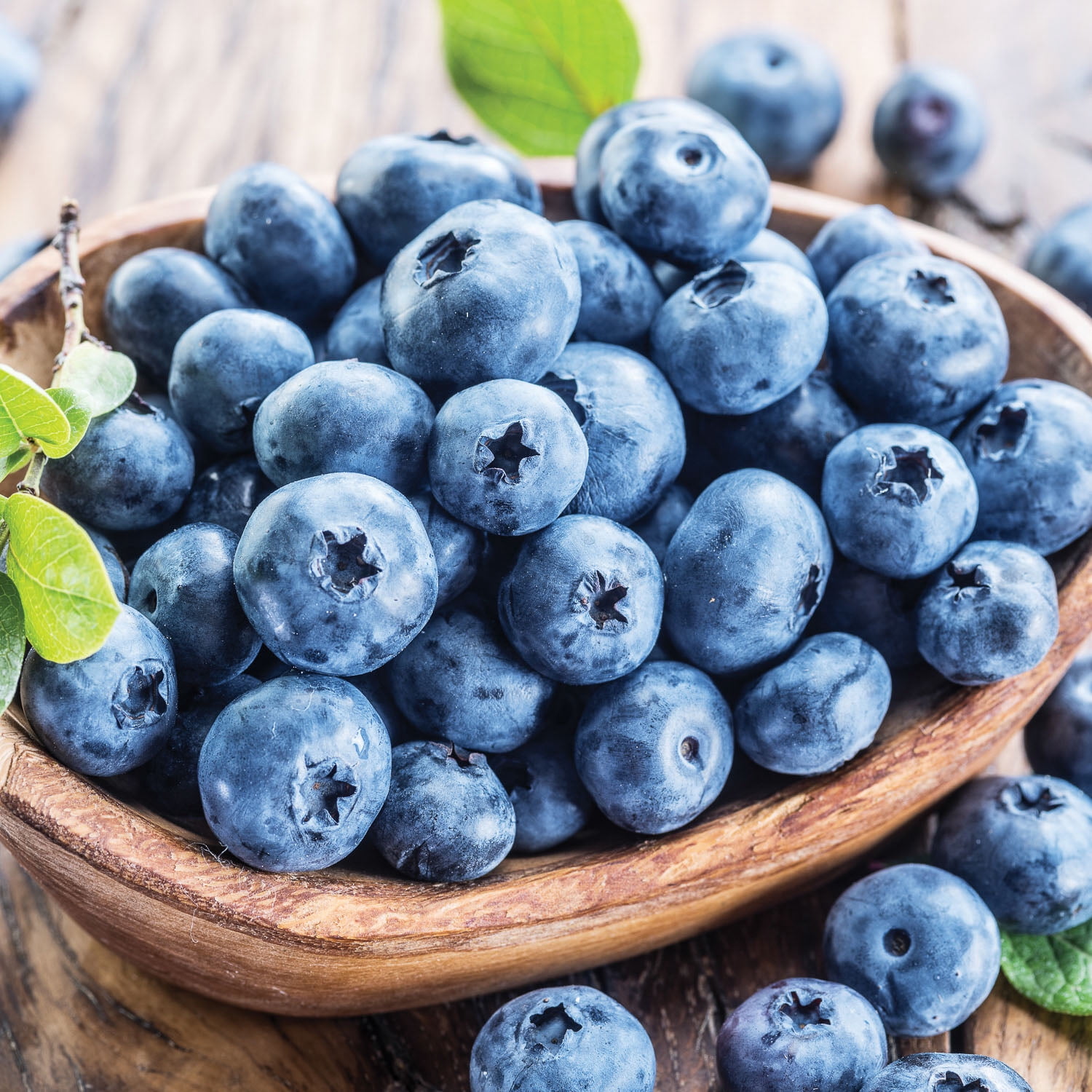 Expert Gardener Blue Blueberry Blue Ray Live Plants in Bare Pot, Edible