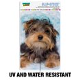 thumbnail image 2 of Yorkie Yorkshire Terrier Dog Resting With Blue Hat Home Business Office Sign, 2 of 7