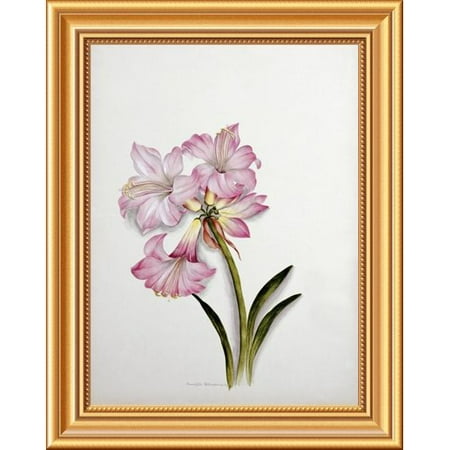 Belladonna Two Light - Global Gallery 'Amaryllis Belladonna' by Ethel May Dixie Framed Painting Print