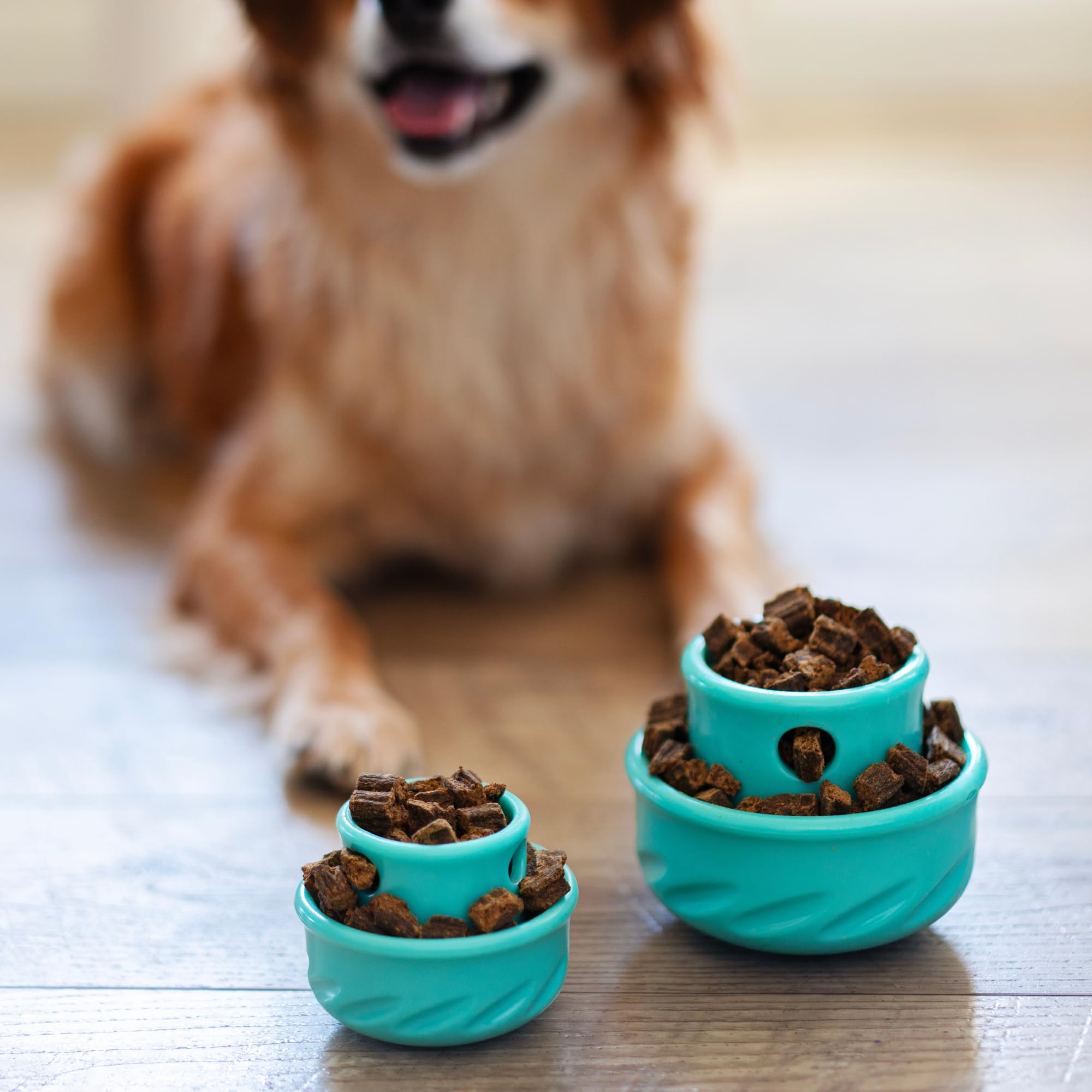 Messy Mutts Totally Pooched Puzzle 'n Play Mushroom (Small) | Interactive Treat Puzzle Toy for Dogs | Durable 3.25”” x 2.5” TPR Dog Toy | Orange