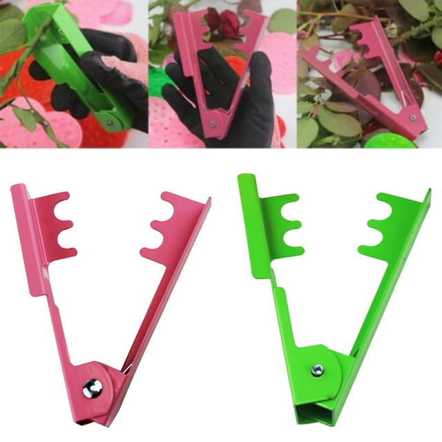Xihbxyly Alicates para Espinas de Rosas, Herramienta de Aguja de Acero Inoxidable, Diseño con Resorte, Fácil Extracción de Espinas, Suministros para Floristería, Equipo para El Cuidado de Rosas, Tama
