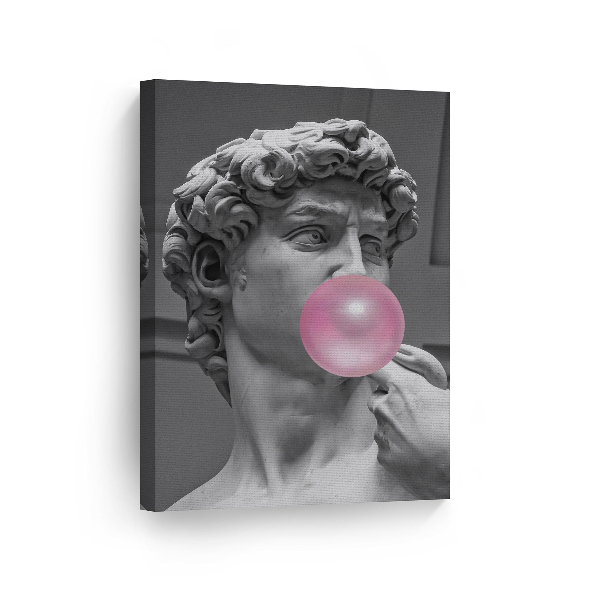 Smile Art Design Michelangelo's Masterpiece Statue of David Pink Bubble Gum  Art CANVAS PRINT Famous Statues Wall Art Classic Art Home Decor Stretched  Ready to Hang Made in USA 17x11 - Walmart.com