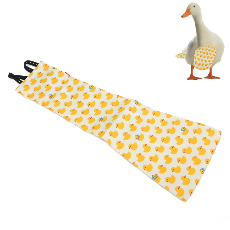 Pets at home diapers 2025