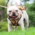 thumbnail image 3 of Small Dog Harness,Puppy Harness,Adjustable Leash And Collar Set for Small Dogs, Reflective Pet Dog Vest for Small Medium Puppy,Camouflage, 3 of 6