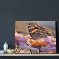 thumbnail image 3 of Naloa butterfly Print Canvas Bathroom Wall Art,Bathroom Wall Art Decoration, Canvas Poster Prints,Decorative Paintings for Living Room, Bathroom, Kids Room, 3 of 6