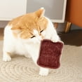 thumbnail image 4 of Natural Loofah Chew Toy for Interactive Cleaning Activity for Cats and Small Dogs, 4 of 5
