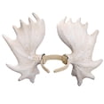 thumbnail image 1 of 1 diadema de asta para decoraciones de Halloween., 1 of 3