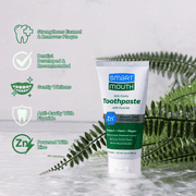 SmartMouth Premium Zinc Ion Toothpaste Protect, Clean & Repair, Mild Mint, 3.4oz