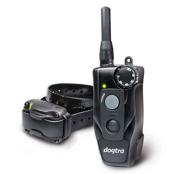 Dogtra 200C Basic Electronic Training Dog Collar with Remote for Dogs 10+ Pounds