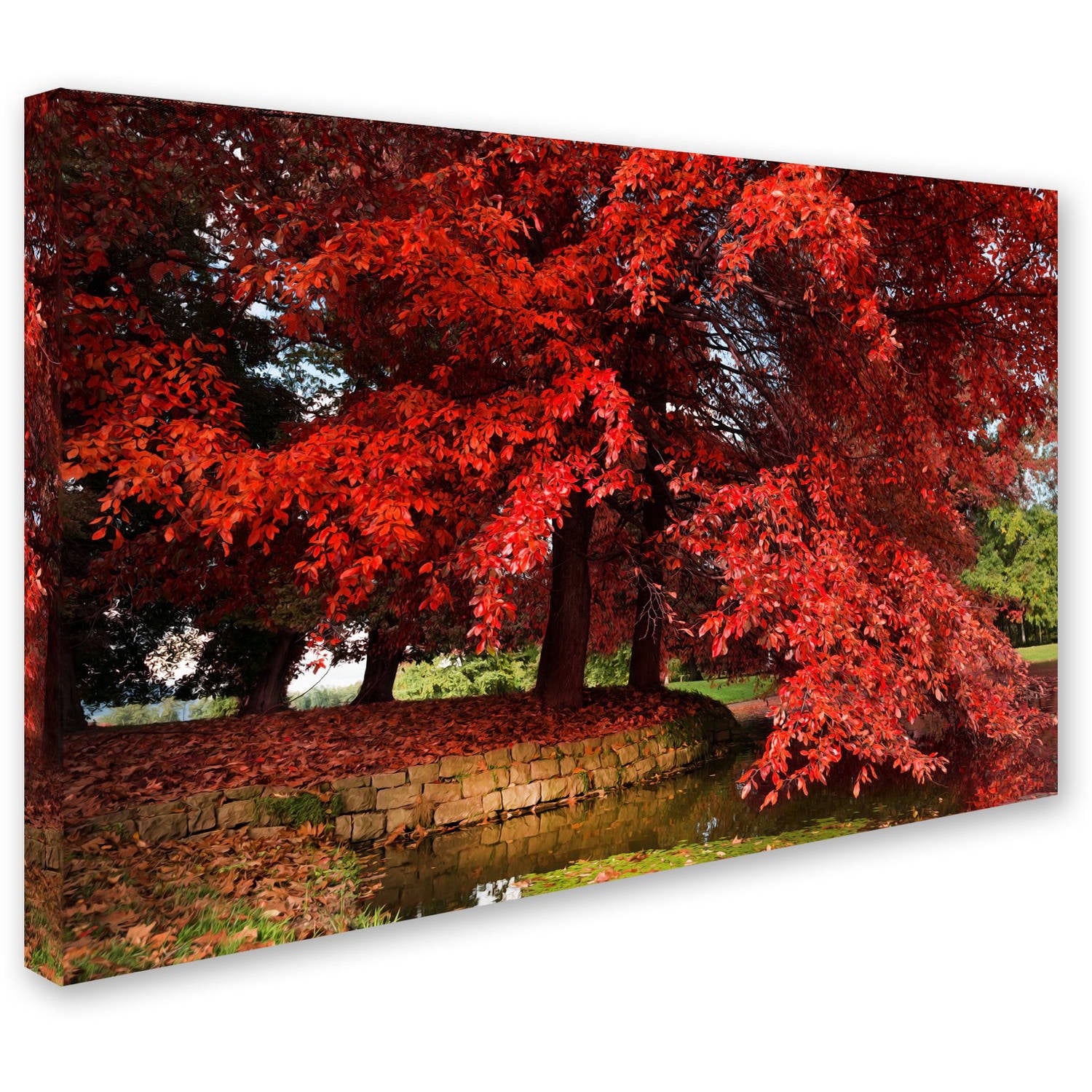 Trademark Fine Art "October" Canvas Art by Philippe Sainte-Laudy