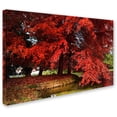 thumbnail image 2 of Trademark Fine Art "October" Canvas Art by Philippe Sainte-Laudy, 2 of 3