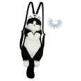 thumbnail image 1 of Mochila de peluche de gato Strade Fareast Limited con bufanda azul, 1 of 8