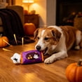 thumbnail image 5 of Qocolcyl Halloween Pet Chew Toy, Squeaky Teething Plaything For Dogs Cats, Spooky Holiday Designs Soft Material Built In Voice Relieve Pet Boredom, 5 of 7