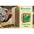 thumbnail image 4 of (2 pack) Healthy Harvest Block Supplement for Adult Chickens, 25 lb, 4 of 6