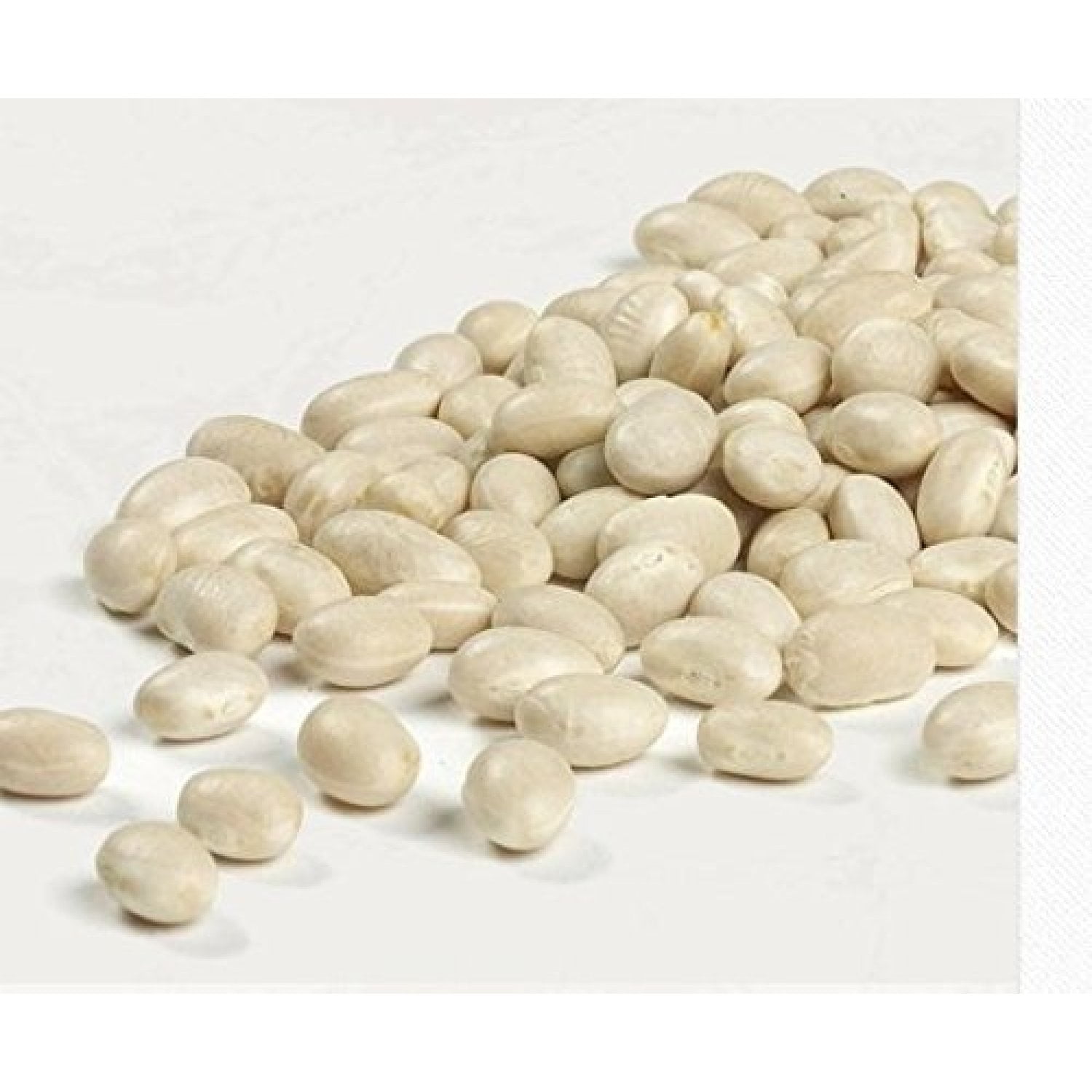 Bilot Navy Pea Beans Dry Bean, 2 Pound Bag