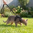 thumbnail image 4 of Adjustable Airtag Holder Cat Vest Harness with 1.5M Matching Leash, Escape Proof Reflective Pet Chest Harness for Kittens & Small Cats 3 to 8 Pounds Outdoor Walking, 4 of 7