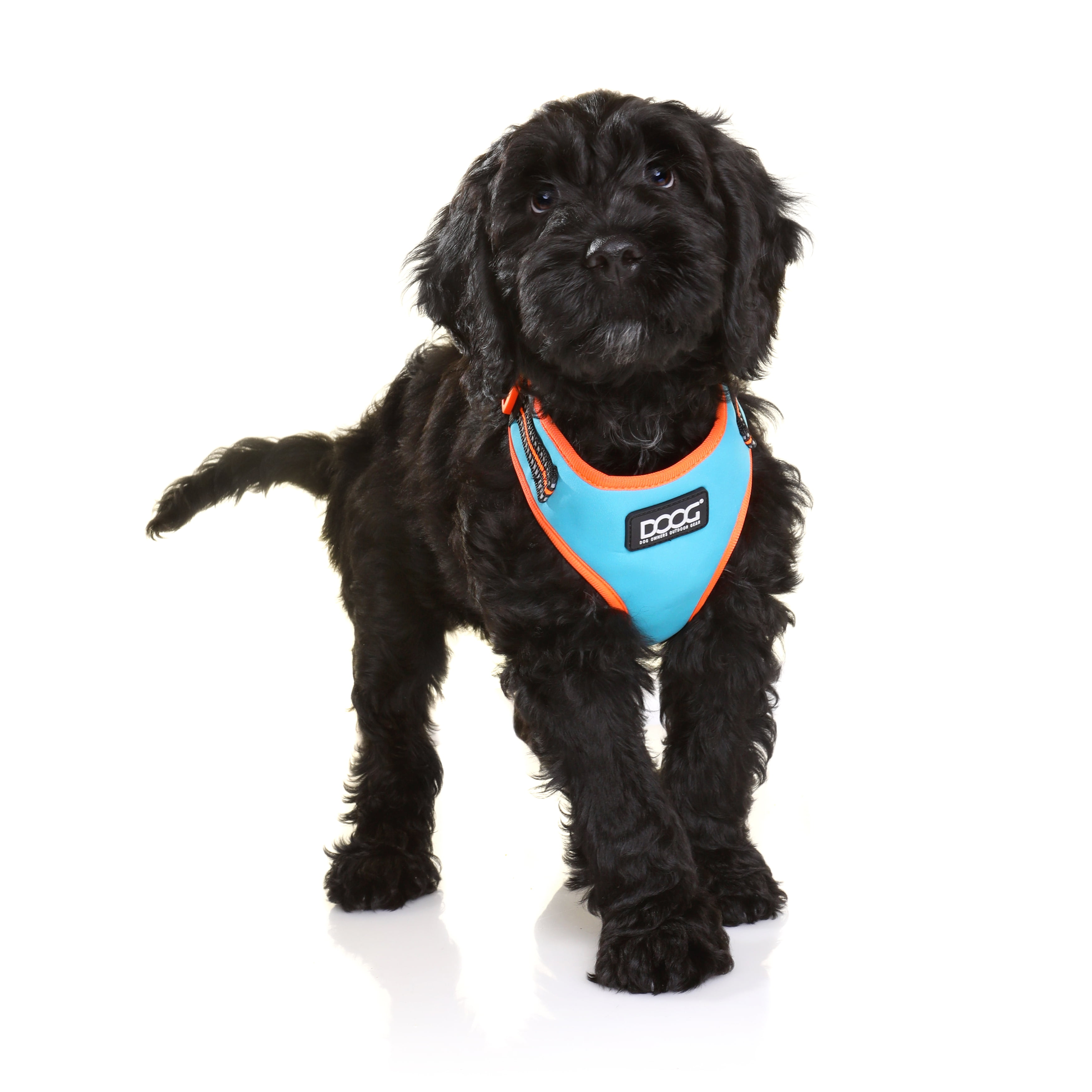 3 peaks step in dog harness sales