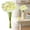 White, variant on 1 Bundle Daffodil Artificial Flowers 13.4 Inch Real Touch White Faux Daffodils Flowers Bouquet Artificial Daffodils Fake Flowers for Vase Home Office Wedding Floral Arrangement Decoration(No Vase)