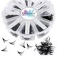thumbnail image 1 of Extensiones de pestañas WENDY LASHES, ventiladores prefabricados, 500 unidades, 30 D, 0,07 mm, 1 of 6