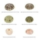 thumbnail image 5 of 6 piezas de decoración de erizos de mar para macetas de plantas aéreas, decoración de mesa con erizos de mar, decoración para peceras, 5 of 8