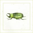 thumbnail image 2 of Vision Studio 20x20 Black Ornate Wood Framed with Double Matting Museum Art Print Titled - Green Beetle, 2 of 4