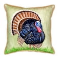 thumbnail image 3 of Betsy Drake ZP512 Wild Turkey Indoor & Outdoor Throw Pillow- 22 x 22 in., 3 of 4